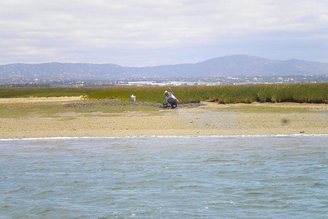 Short Boat Trip of the Algarves Ria Formosa Lagoon From Faro: 1 Hour - Meeting and Departure Details