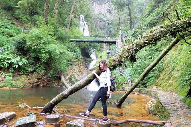 Silver and Love Waterfall, Lonely Tree Private Tour By Car - Itinerary Highlights