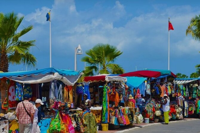 Sint Maarten Island Private Tours - Accessibility Features