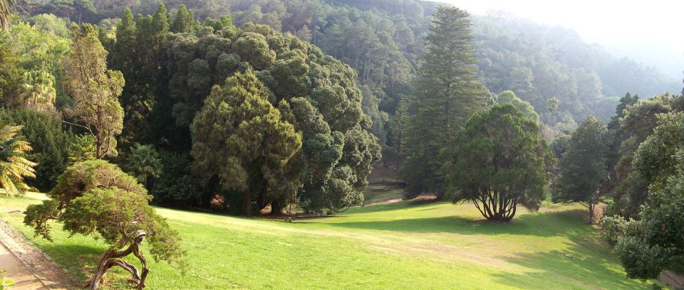 Sintra+ Cascais Gardens Full Day: Private Tour - Historic Sintra