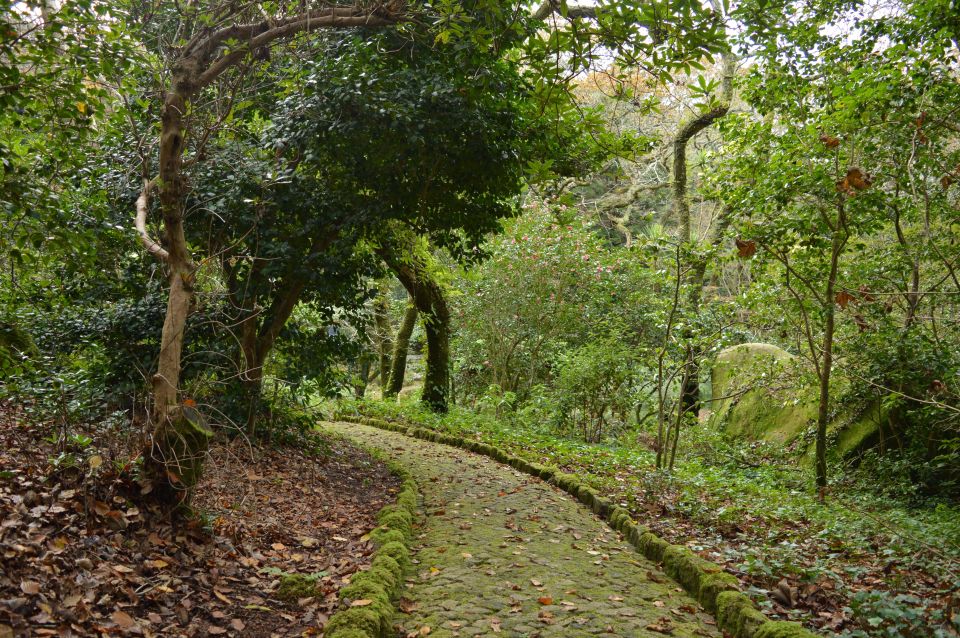 Sintra: Hike & History Private Tour Incl. Pena & Regaleira - Itinerary