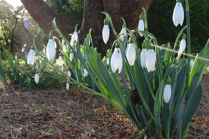 Skip-the-Line: Botanic Garden Entry Ticket - Parking and Transportation Options