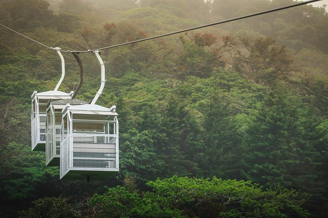 Sky Walk- Sky Tram & Sky Trek Zipline From Monteverde - Customer Experience Highlights