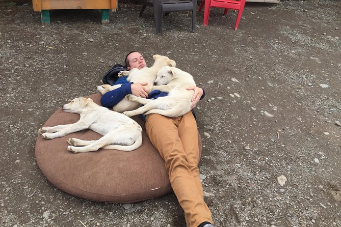 Sled Dog Adventure and Pan for Gold in the Yukon - Sled Dog Ride