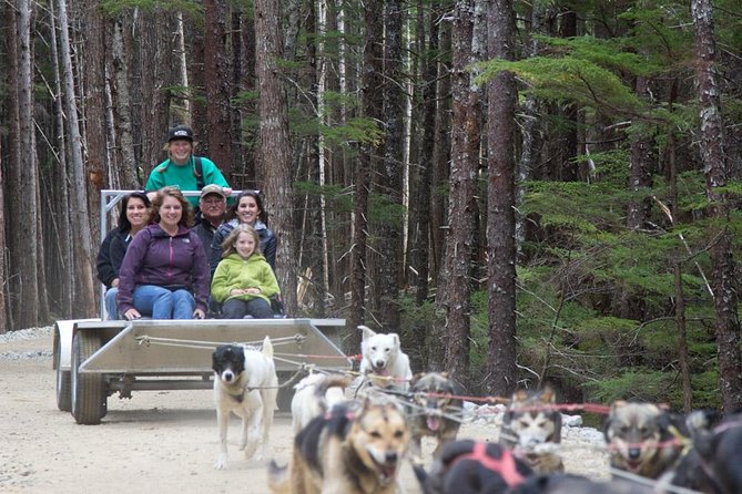 Sled Dog Discovery in Skagway - Accessibility Information