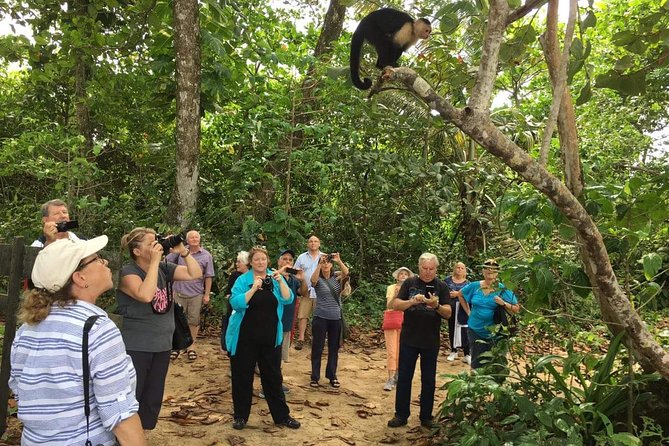 Sloths Lovers Tour. Puerto Limon Shore Excursion - Transportation and Comfort