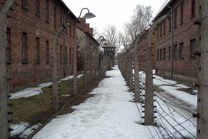 Small Group Auschwitz-Birkenau Guided Tour From Krakow ABTA - Tour Exclusions