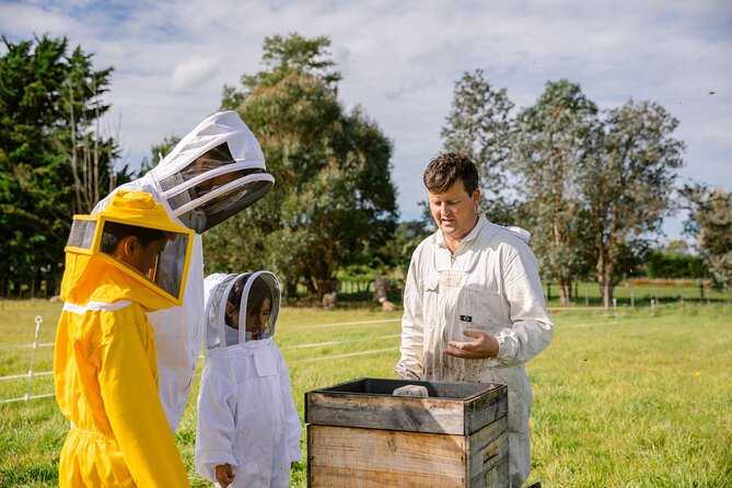 Small-Group Beekeeping Experience in Tauherenikau - Accessibility Information