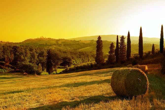 Small-Group Chianti and San Gimignano Sunset Trip From Siena - Exclusions