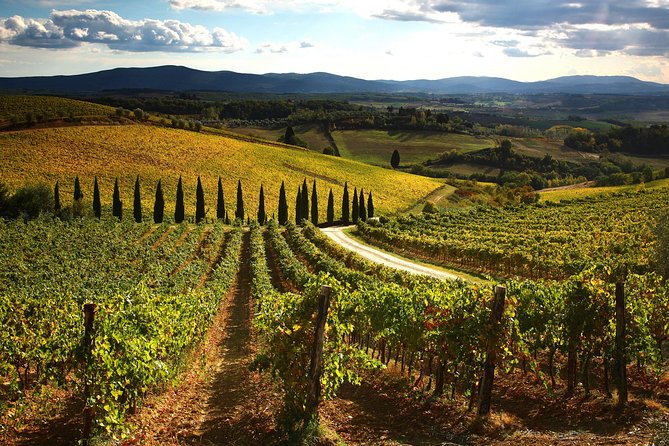 Small-Group Chianti Trip With Wine Tasting From Siena - Castello Di Ama Adventure