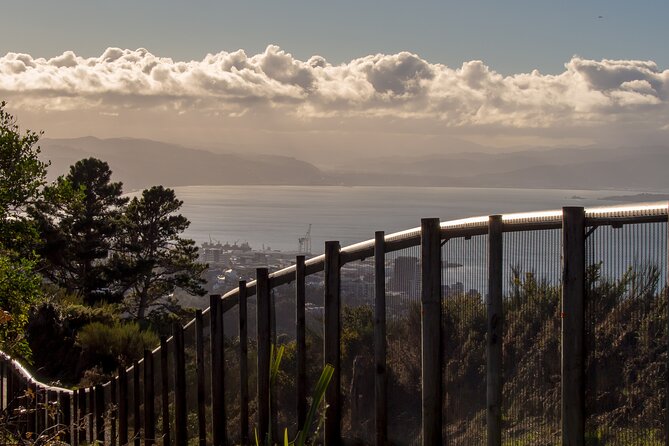 Small Group Daytime 2-Hour Eco Wildlife Tour at Zealandia - Meeting Point and Departure