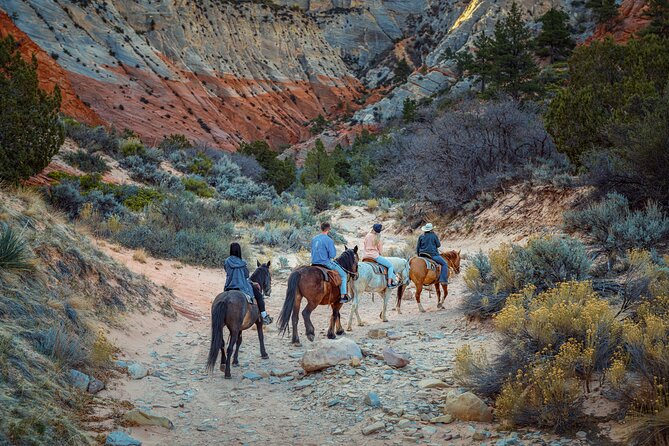 Small-Group East Zion White Mountain Horseback Ride - Group Size and Requirements