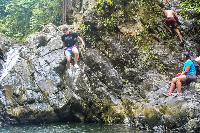 Small-Group El Yunque Rainforest Vivid Day Tour With Transport - Convenient Pickup and Transport