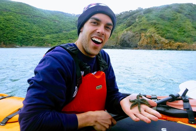 Small Group Guided Sea Kayaking in Akaroa Marine Reserve - Meeting and Pickup Information