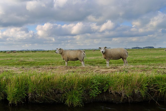 Small-Group Guided Sunset Canoe Tour in Waterland With Dinner - Dinner Details