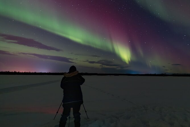 Small Group Northern Lights Tours In Interior Alaska From Fairbanks - Tour Pricing and Availability