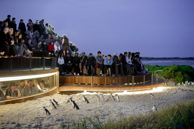 Small-Group Phillip Island Penguin Parade Day Tour From Melbourne - Tour Inclusions