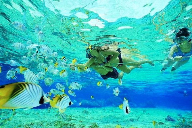 Small Group Snorkeling, Sharks & Rays Encounter At Punta Cana - Meeting and Pickup Details