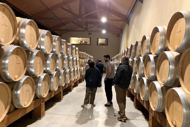 Small Group Tour - Ribera Del Duero Super Taster With Lunch - Wine Tasting Experience