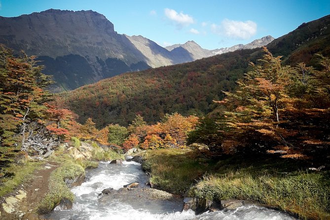 Small Group Trekking to Vinciguerra Glacier and Témpanos Lagoon - Pricing Information