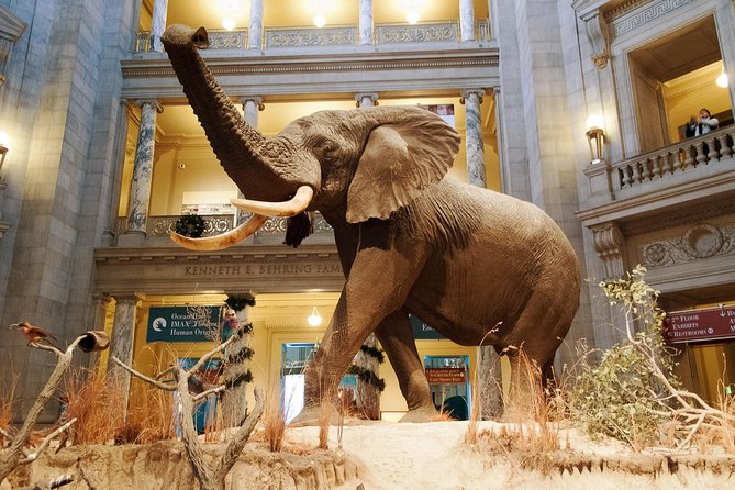 Smithsonian Museum of Natural History - Exclusive Guided Tour - Key Highlights of the Tour