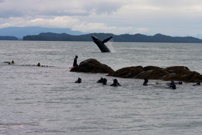Snorkel Alaska - Snorkeling Equipment Provided