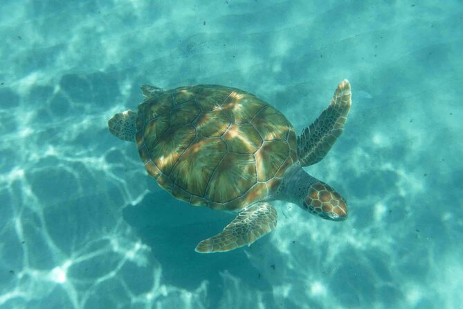 Snorkel and Beach Adventure Tour - Pickup Information