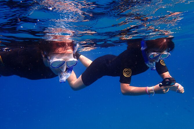 Snorkel Experience in Lanzarote - Meeting Point Details