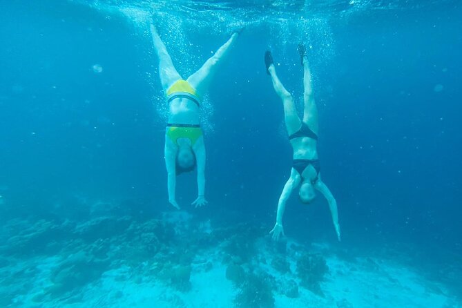 Snorkel Marathon - What to Expect on Tour