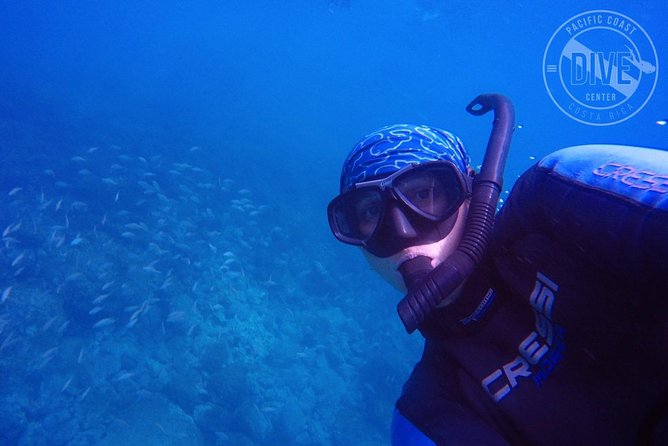 Snorkeling at Catalina Islands & North Island - CR - Reviews and Feedback
