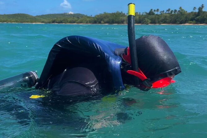 Snorkeling Lesson & Interactive Experience for Kids and Adults - Health and Safety Guidelines