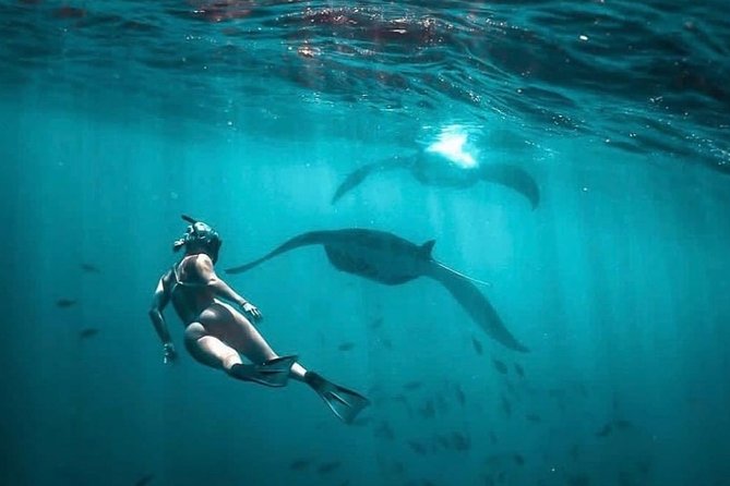 Snorkeling Manta Ray Safari in Nusa Penida - Underwater Photography Captured