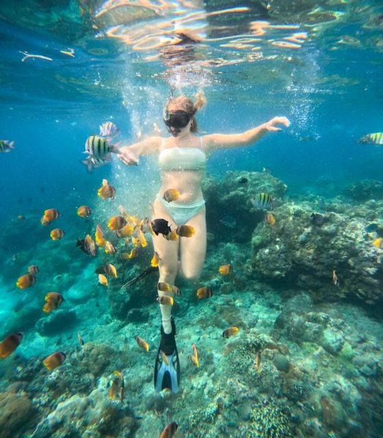 Snorkeling Nusapenida - Best Part Swim With the Mantarays🤙 - Swimming With Manta Rays