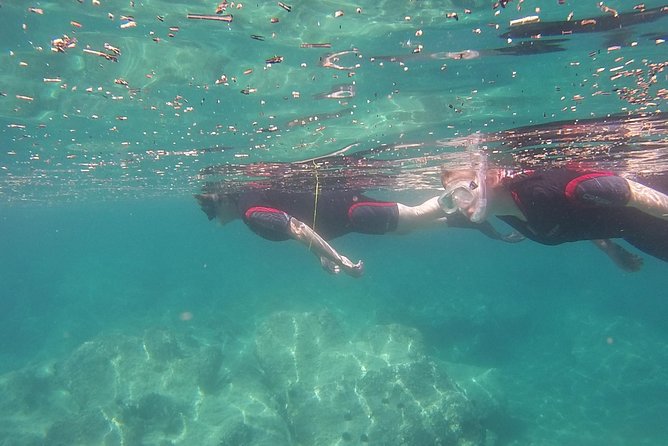 Snorkeling Trip - Participant Information