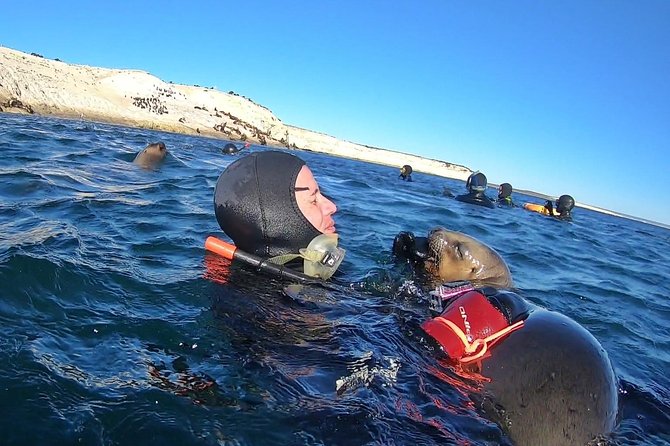 Snorkeling With Sea Lions by Madryn Buceo - Group Size and Requirements