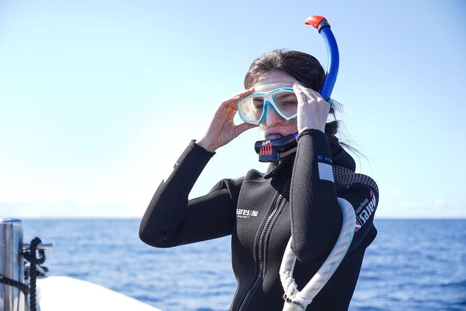 Snorkelling Trip at Ponta De São Lourenço Protected Area - Highlights of the Experience