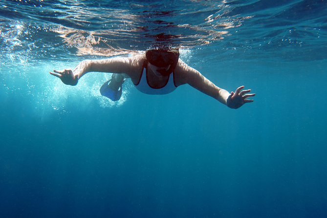 Snorkelling With Manta Rays - Whats Included in the Trip
