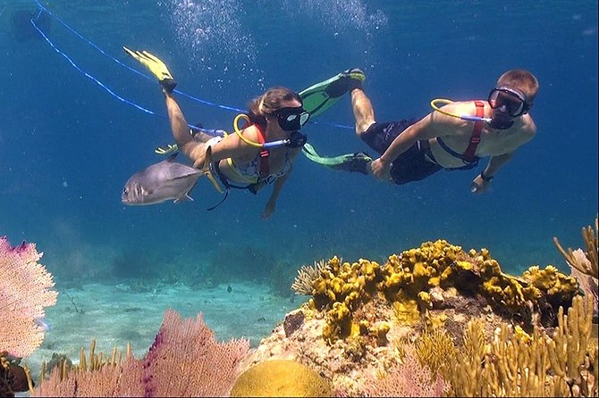 Snuba Adventure at Coral World Ocean Park - Customer Experiences and Feedback
