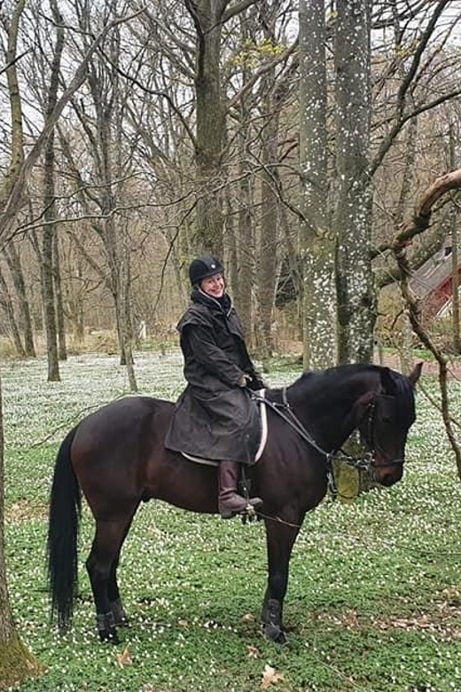 Söderåsen National Park: 1.5-Hour Horseback Ride - Group Size and Rider Requirements