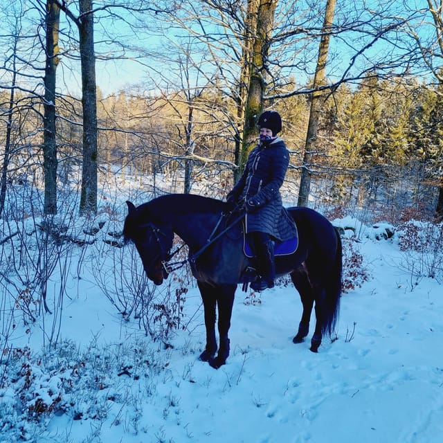 Söderåsen National Park: Horseback Riding Vacation 2 Nights - Riding Experience Overview