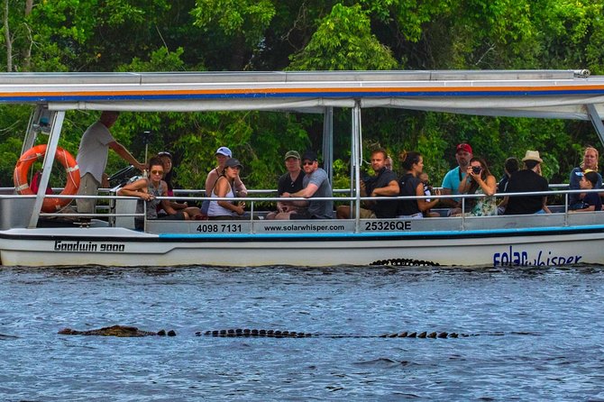 Solar Whisper Daintree River Crocodile and Wildlife Cruise - Meeting Point and Logistics