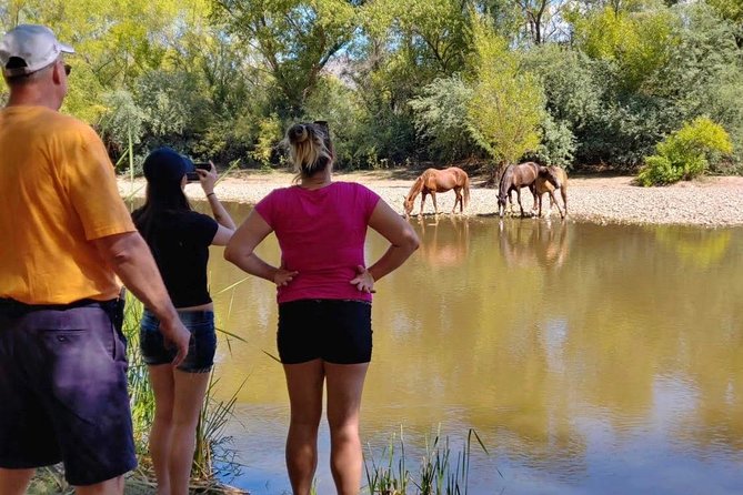 Sonoran Desert Jeep Tour - Meeting Point Details