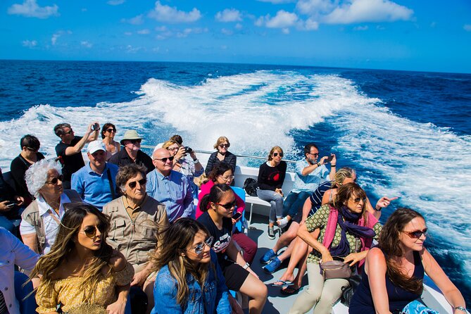 Sorrento - Capri Minicruise Daily Ticket - Ticket Inclusions and Details