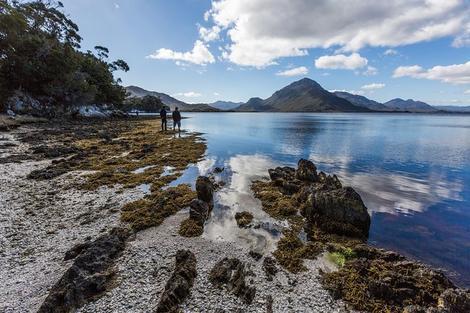 Southwest Tasmania Wilderness Experience: Fly Cruise and Walk Including Lunch - Boat Cruise Adventure