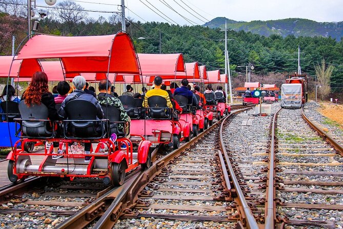 Special Private Tour Nami Island, Rail Bike, Petite France - Exploring Nami Island