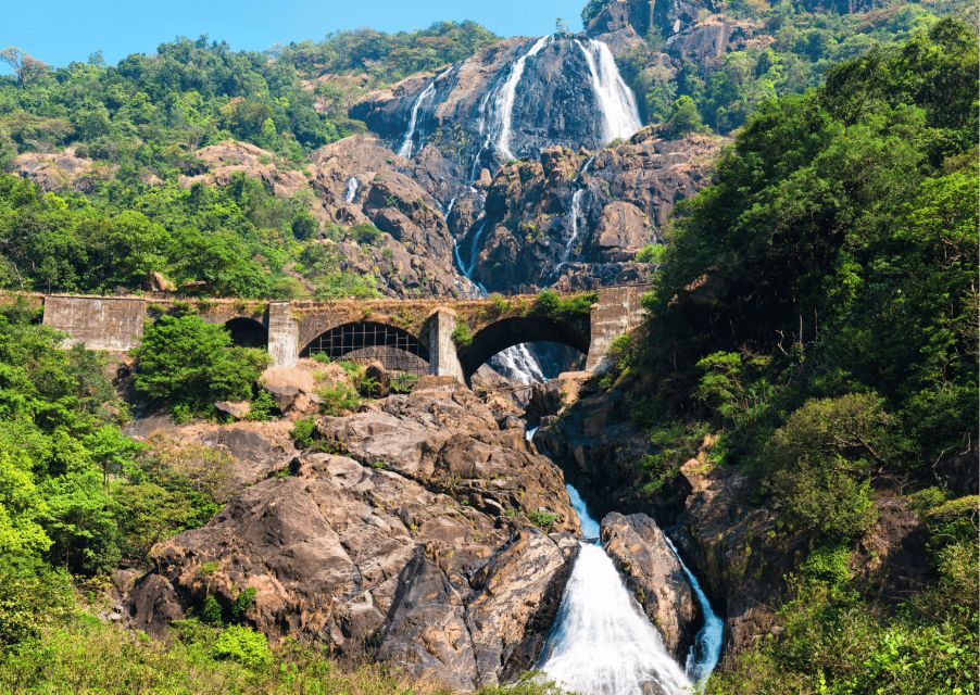 Spirituality of Goa With Dudhsagar Fall Day Tour by a Car - Exploring Bhagwan Mahavir Sanctuary