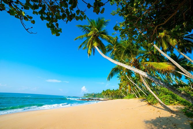 Sri Lanka Tours Package in 9 Days (Amazing Sri Lanka) - Inclusions and Amenities
