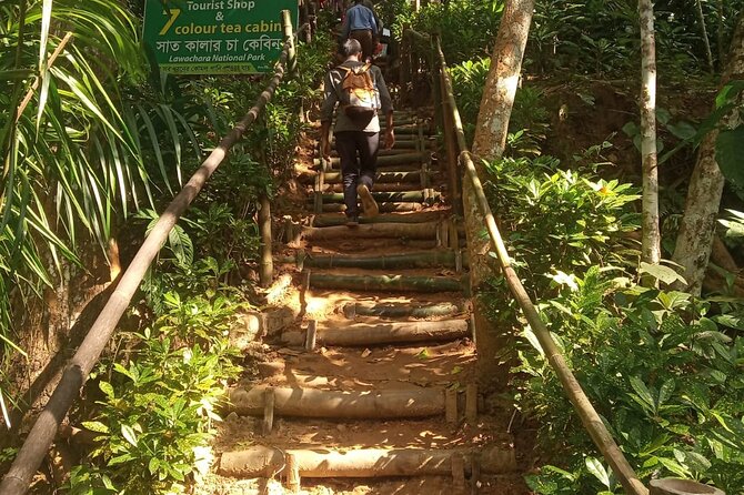 Srimangal Nature Tour in Forest and Tea Garden - Meeting and Pickup Details