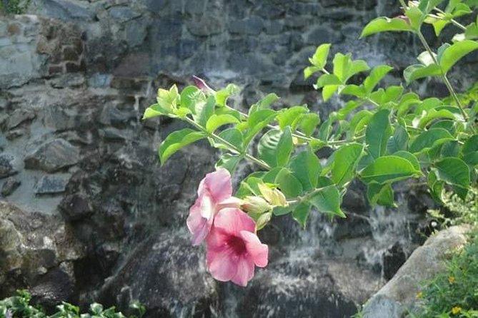 St Lucia Northern Island Tour - Inclusions and Amenities