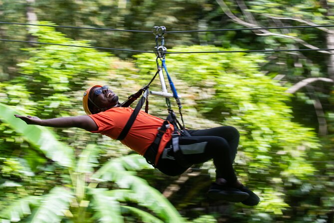 St Lucia Ultimate 3: Aerial Tram, Zipline and Hiking at Rainforest Adventures - Guided Nature Hike